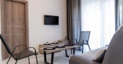Sunny apartment Nika