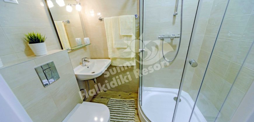 Sunny apartment SOFIA