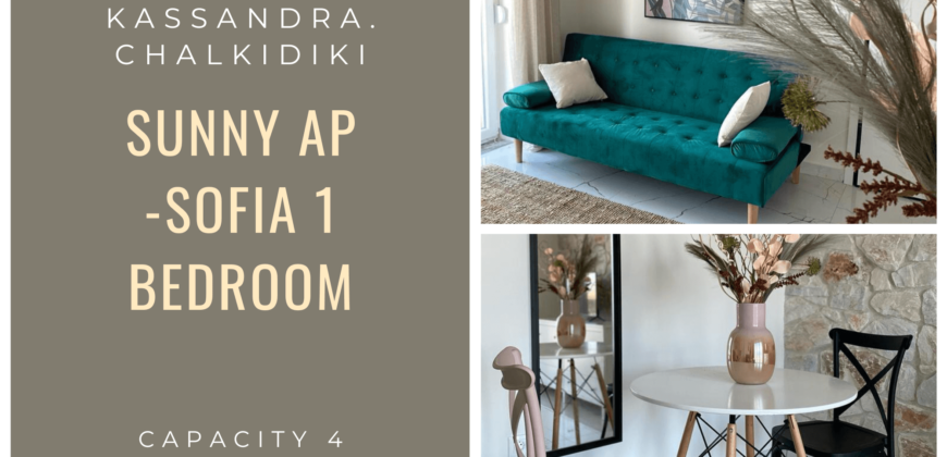 Sunny Ap -SoFia 1 bedroom
